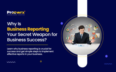 Why Is Business Reporting Important For Business Success?